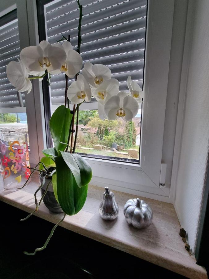 Holiday Apartment Moises Y Ruth Murg  Екстер'єр фото